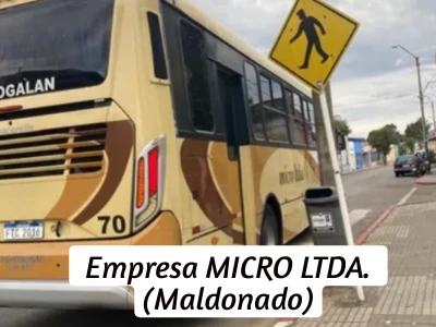 Ubicacin mnibus empresa Micro Ltda.
