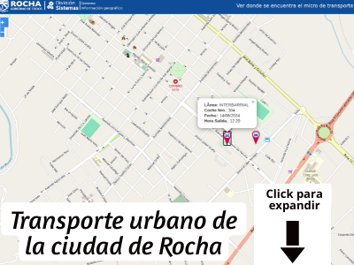 Ubicacin mnibus servicio urbano de Rocha